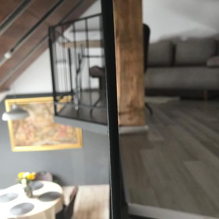 Savoya Nr2 Loft Studio Old City Center Self Check-In Workspace Timișoara Zewnętrze zdjęcie