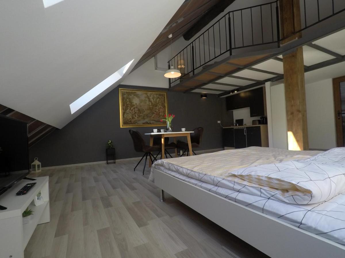 Savoya Nr2 Loft Studio Old City Center Self Check-In Workspace Timișoara Zewnętrze zdjęcie