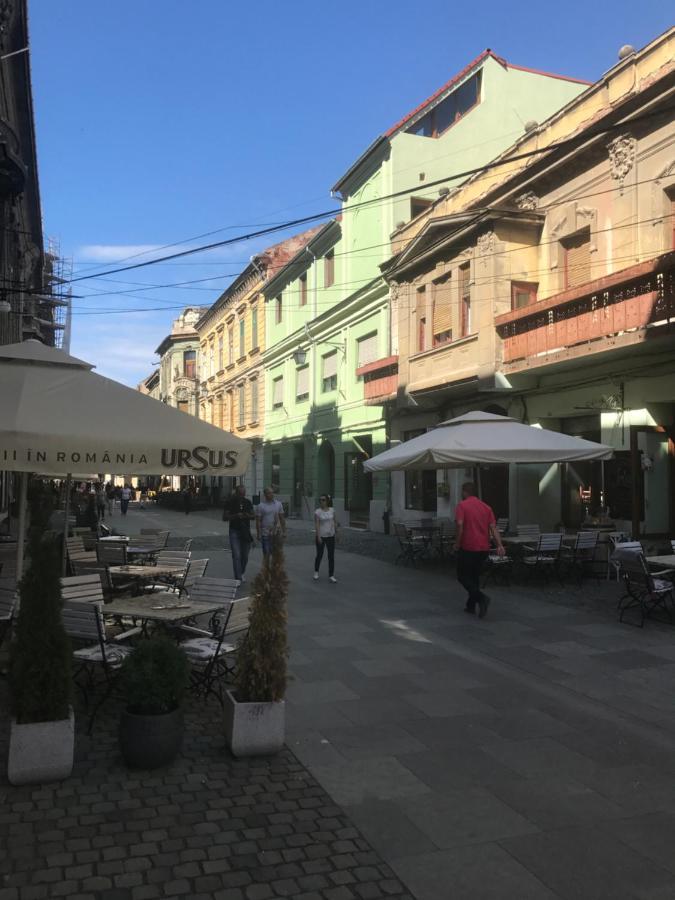 Savoya Nr2 Loft Studio Old City Center Self Check-In Workspace Timișoara Zewnętrze zdjęcie