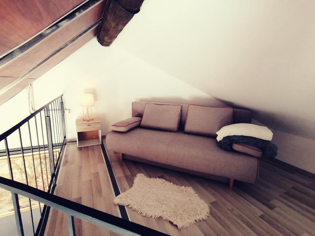 Savoya Nr2 Loft Studio Old City Center Self Check-In Workspace Timișoara Zewnętrze zdjęcie