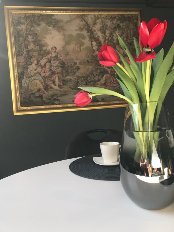 Savoya Nr2 Loft Studio Old City Center Self Check-In Workspace Timișoara Zewnętrze zdjęcie