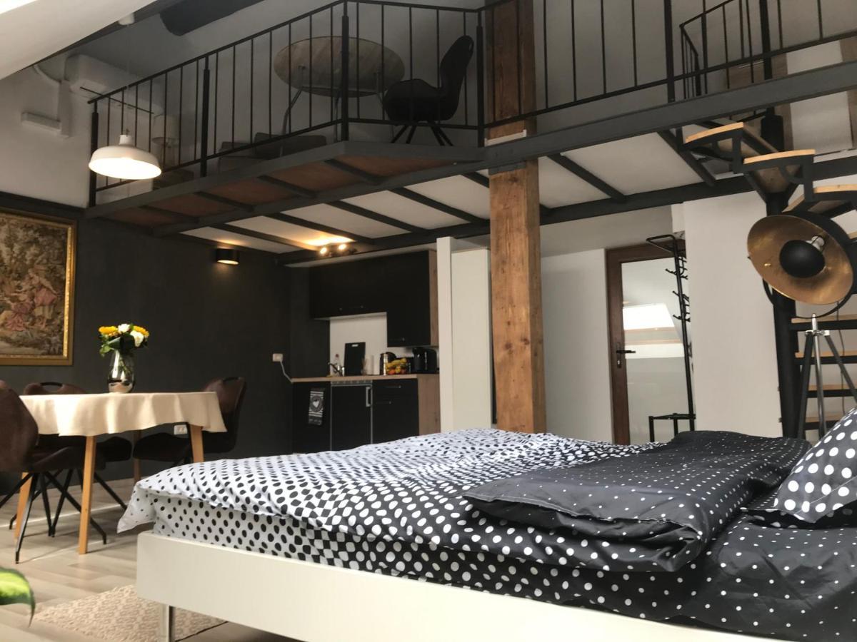 Savoya Nr2 Loft Studio Old City Center Self Check-In Workspace Timișoara Zewnętrze zdjęcie