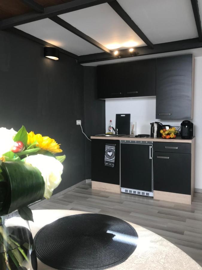Savoya Nr2 Loft Studio Old City Center Self Check-In Workspace Timișoara Zewnętrze zdjęcie