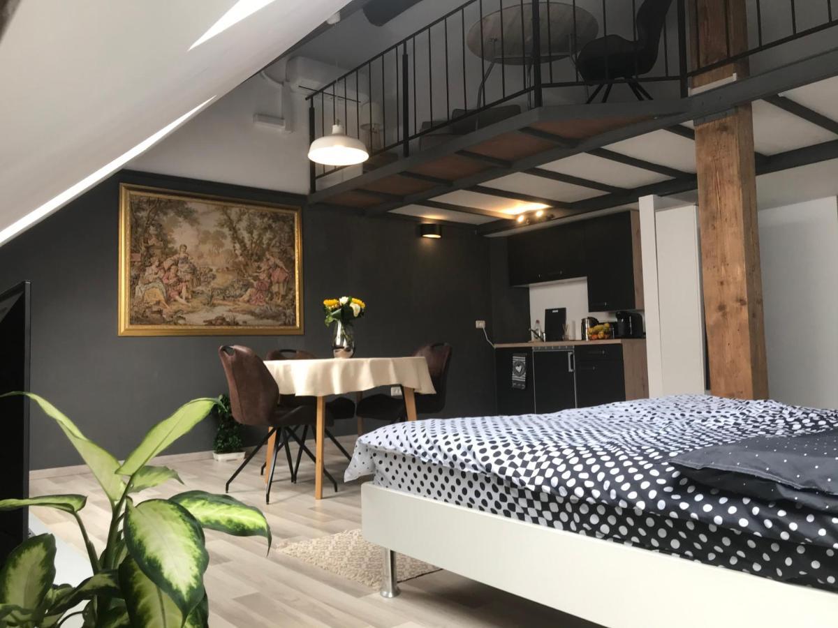 Savoya Nr2 Loft Studio Old City Center Self Check-In Workspace Timișoara Zewnętrze zdjęcie