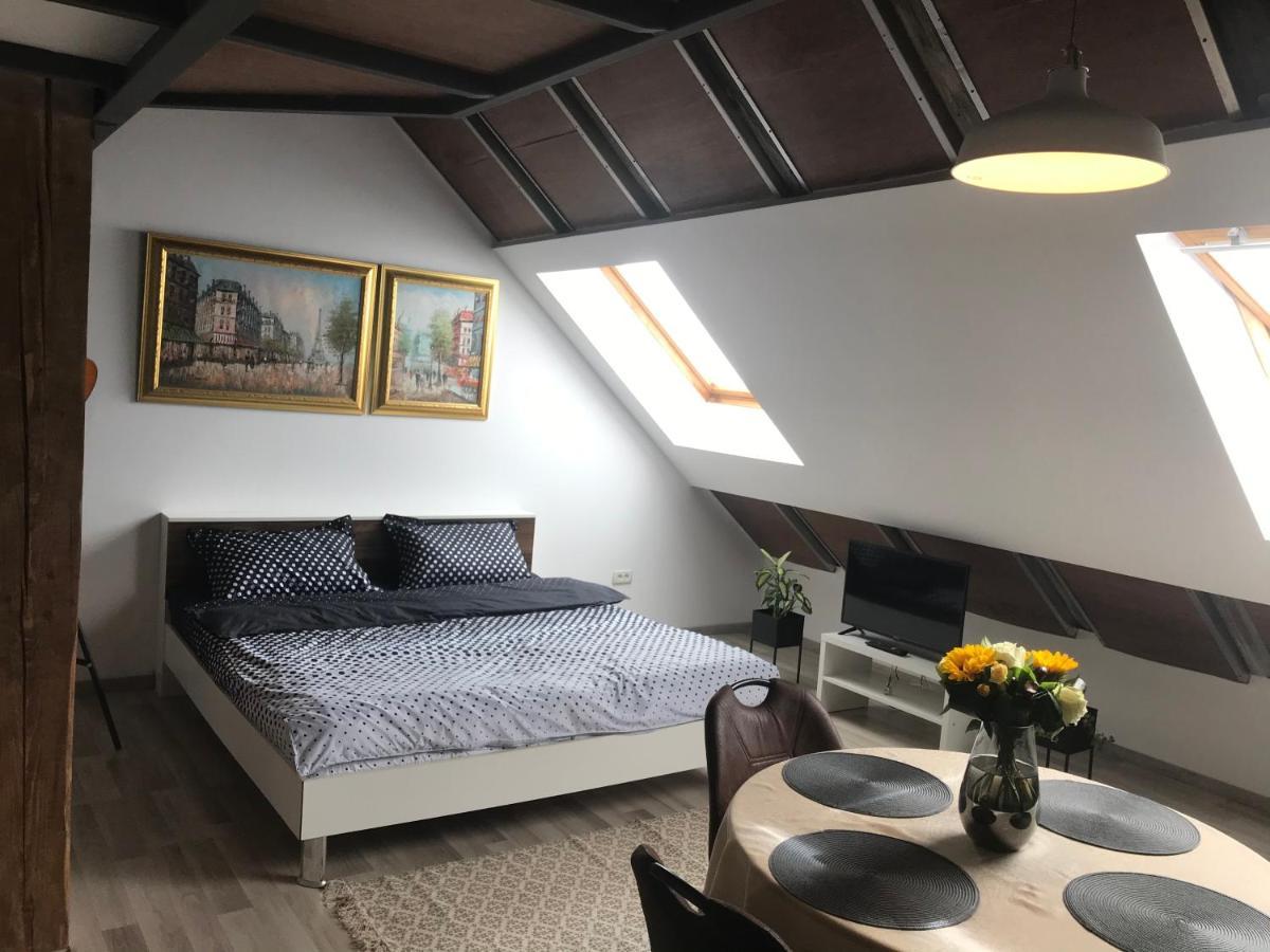 Savoya Nr2 Loft Studio Old City Center Self Check-In Workspace Timișoara Zewnętrze zdjęcie