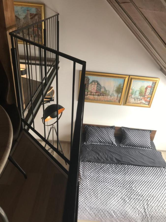 Savoya Nr2 Loft Studio Old City Center Self Check-In Workspace Timișoara Zewnętrze zdjęcie