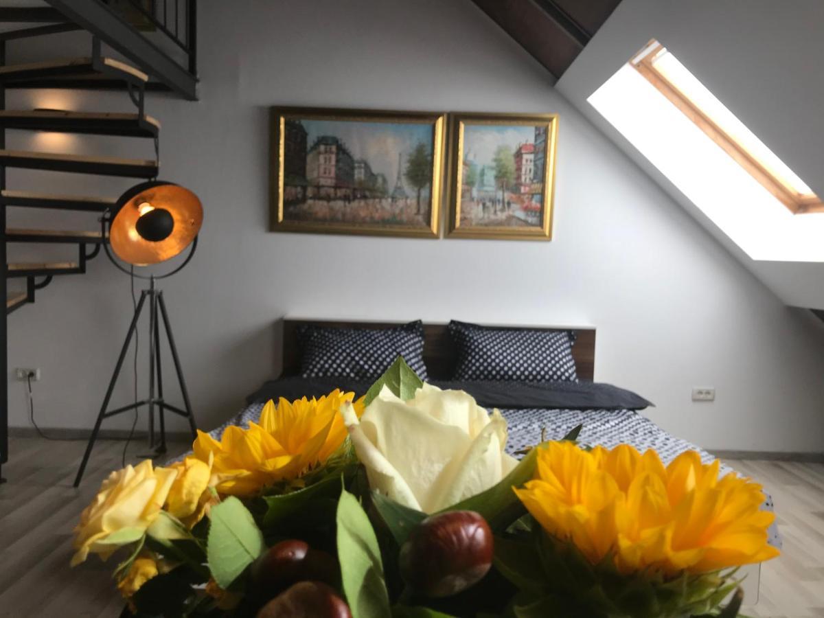 Savoya Nr2 Loft Studio Old City Center Self Check-In Workspace Timișoara Zewnętrze zdjęcie